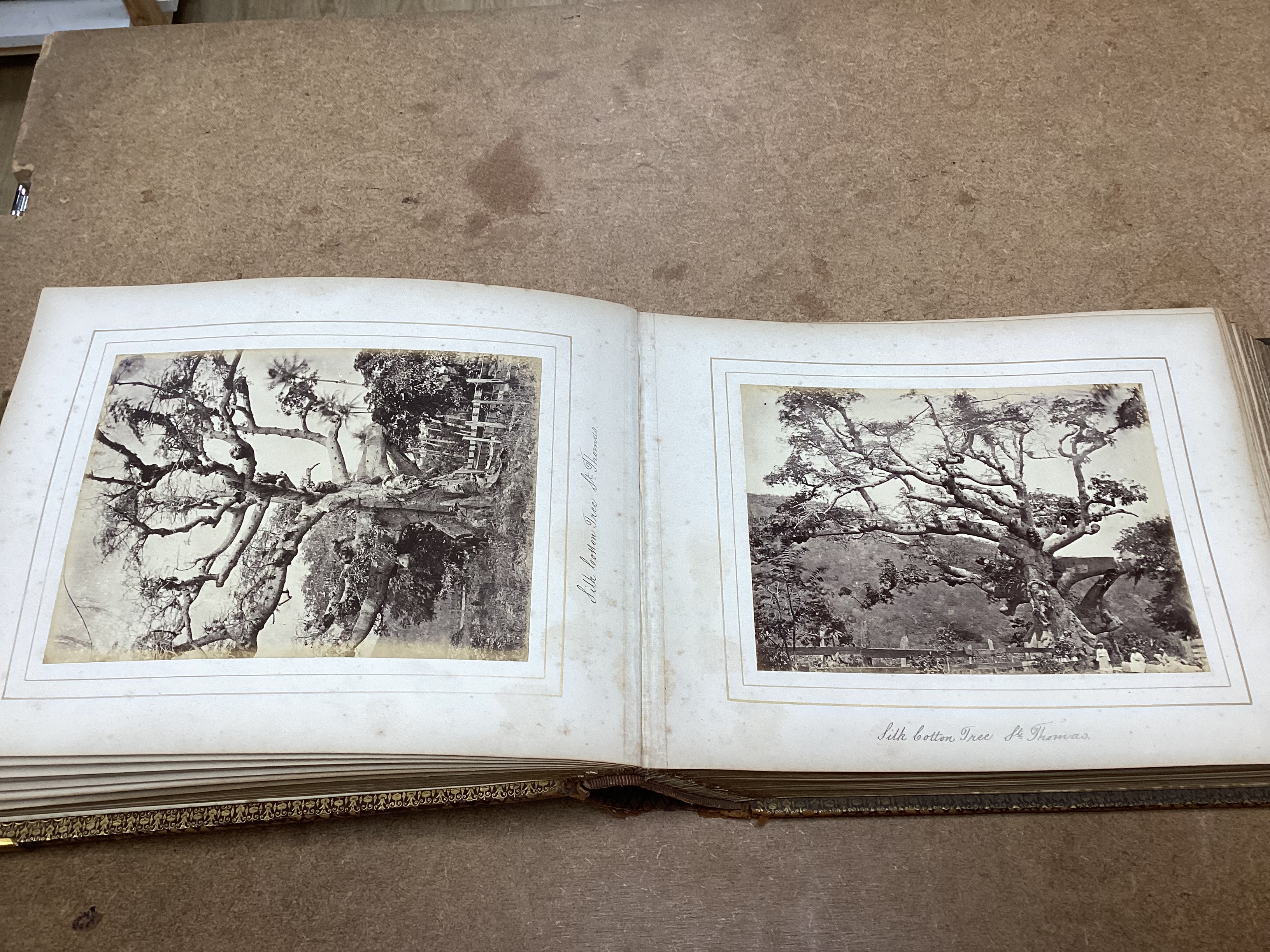 An album of photographs and ephemera relating the 1872-76 Royal Society Scientific Voyage, circa 1876, Provenance: Sotheby’s Groombridge Place sale, 15th and 16th September, 1992